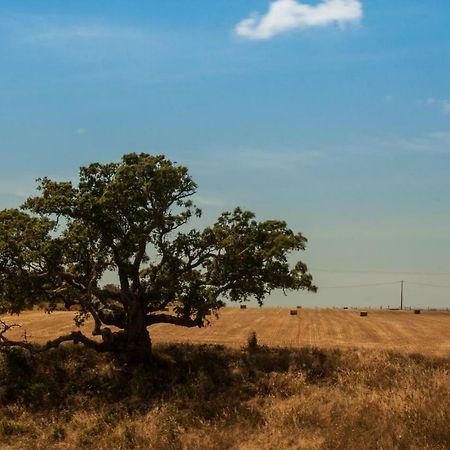 Vales Do Alentejo Bicos Exterior foto