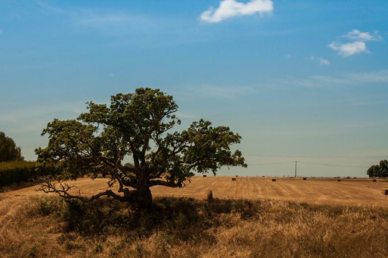 Vales Do Alentejo Bicos Exterior foto